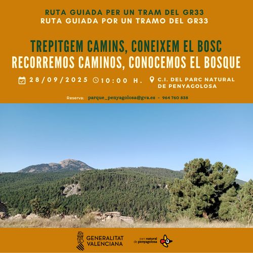 Ruta guaida: "Trepitgem camins, coneixem el bosc"