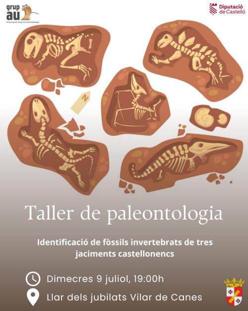 Taller de Paleontologia