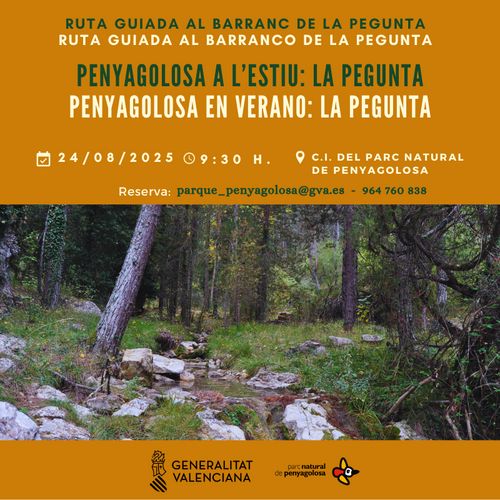 Ruta guiada al barranc de la Pegunta
