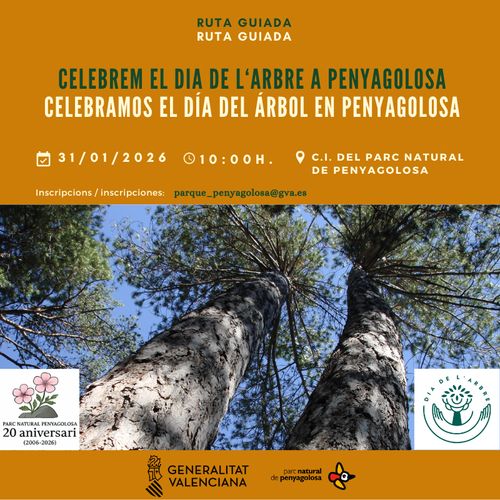 Celebrem el dia del arbre a Penyagolosa