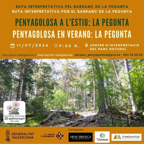 Penyagolosa a l'estiu. la Pegunta