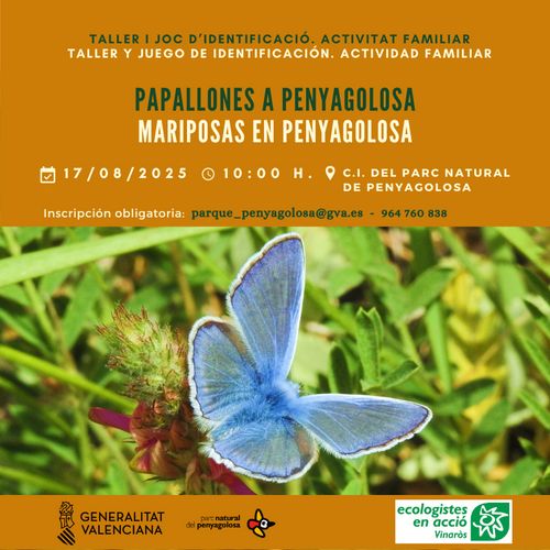 Taller i joc d'identificació: "Papallones a Penyagolosa"