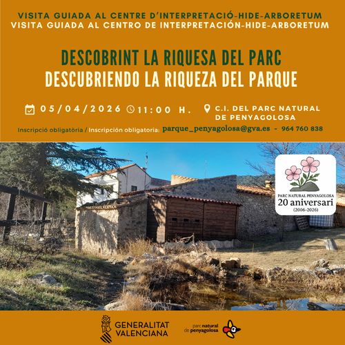 Descobrint la riquesa del parc