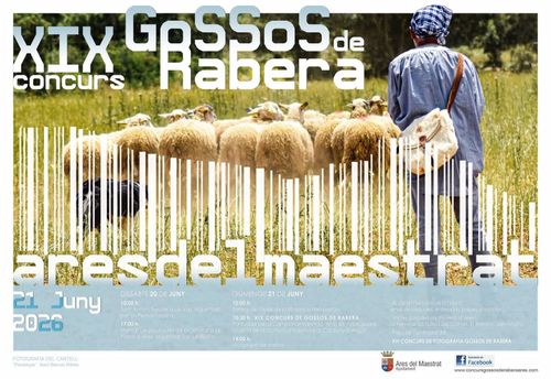 XIX Concurs de gossos de rabera